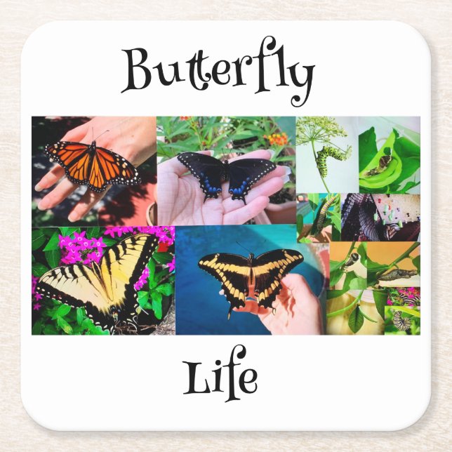 Porta-copo De Papel Quadrado Vida da Borboleta (Frente)