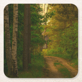 Porta-copo De Papel Quadrado Vila da Floresta Florestal de Paisagem Natural