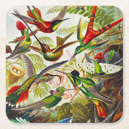 Porta-copo De Papel Quadrado Vintage Hummingbird por Ernst Haeckel