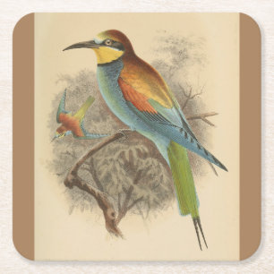 Porta-copo De Papel Quadrado Vintage - Ilustração do Bee-Eater Europeu