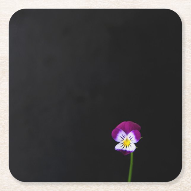 Porta-copo De Papel Quadrado Violet Flower (Frente)