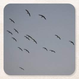Porta-copo De Papel Quadrado Voo noturno