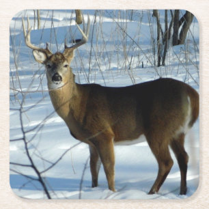 Porta-copo De Papel Quadrado Whitetail Buck Winter