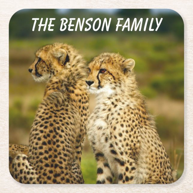 Porta-copo De Papel Quadrado Wild Cheetah's (Frente)