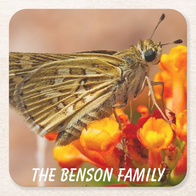 Porta-copo De Papel Quadrado Wild Moth de Fecho (Frente)