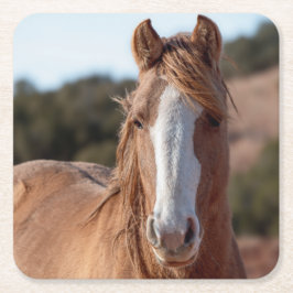 Porta-copo De Papel Quadrado Wild Mustang