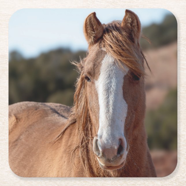 Porta-copo De Papel Quadrado Wild Mustang (Frente)