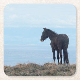 Porta-copo De Papel Quadrado Wild Mustang