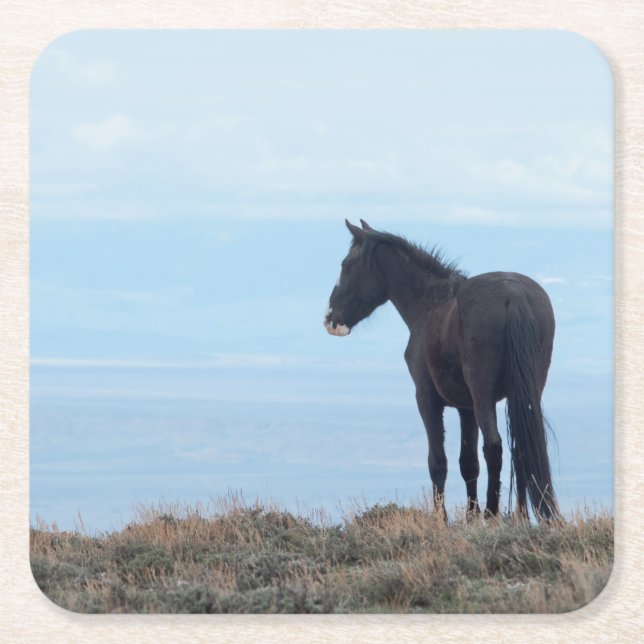 Porta-copo De Papel Quadrado Wild Mustang (Frente)