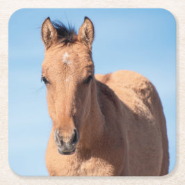 Porta-copo De Papel Quadrado Wild Mustang Foal