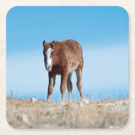Porta-copo De Papel Quadrado Wild Mustang Foal