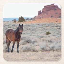 Porta-copo De Papel Quadrado Wild Mustang Foal