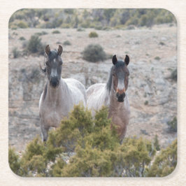 Porta-copo De Papel Quadrado Wild Mustang Mare e Wild Horse Stallion