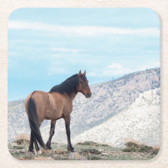 Porta-copo De Papel Quadrado Wild Mustang Stallion (Frente)