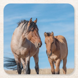 Porta-copo De Papel Quadrado Wild Mustang Stallion e Wild Horse Foal