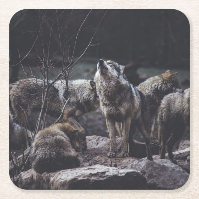 Porta-copo De Papel Quadrado Wolf Pack (Frente)