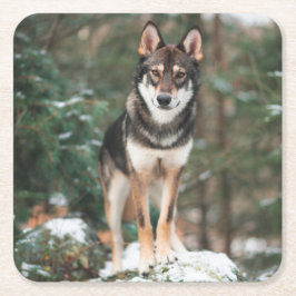 Porta-copo De Papel Quadrado Wolfdog