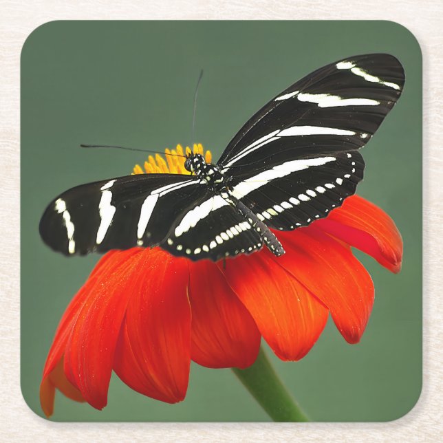 Porta-copo De Papel Quadrado Zebra Longwing na Flor Vermelha (Frente)