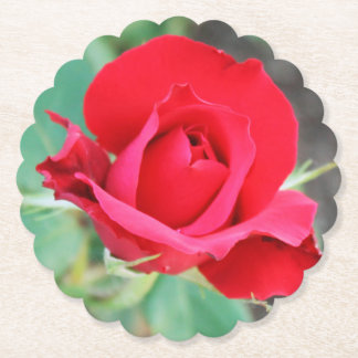Porta-copo De Papel Red Rosebud