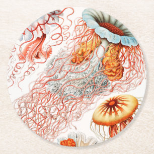 Porta-copo De Papel Redondo Água-viva, Discomedusae por Ernst Haeckel