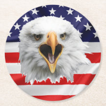 Águia careca agradando presente patriótico