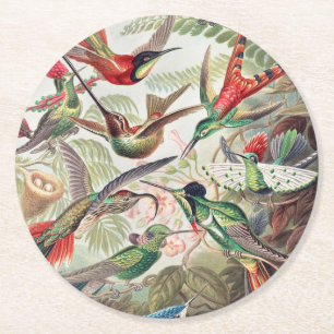 Porta-copo De Papel Redondo Beija-flor, Trochilidae Kolibris por Ernst Haeckel