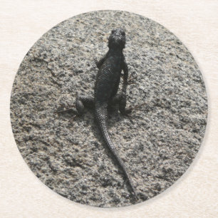 Porta-copo De Papel Redondo Black Lizard