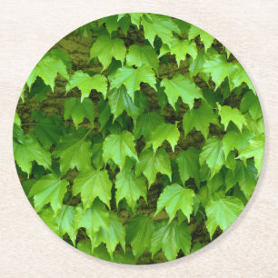 Porta-copo De Papel Redondo Boston Ivy