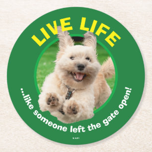 Porta-copo De Papel Redondo Cachorro Em Jarda