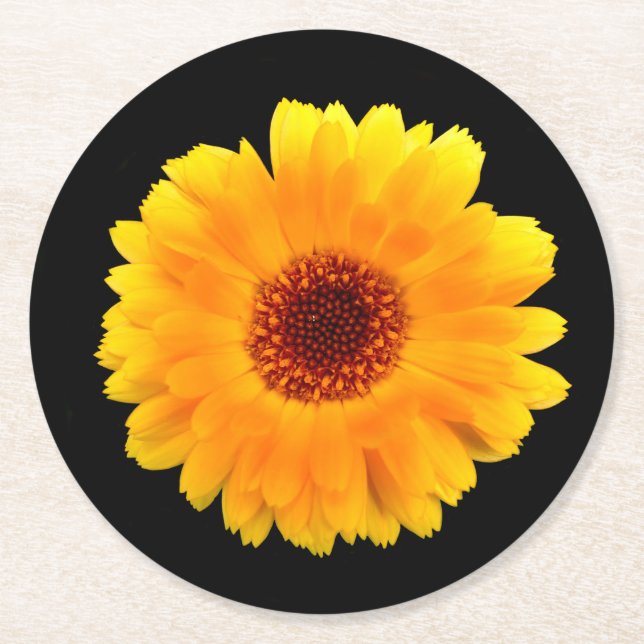 Porta-copo De Papel Redondo Calendula Officinalis (Frente)