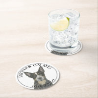 Casamento Blue-australiano Cattledog Heeler