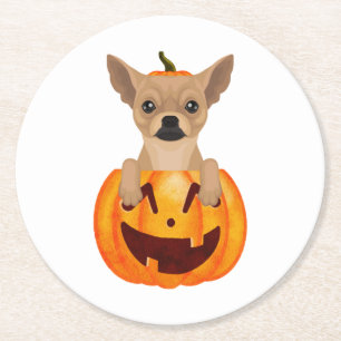 Porta-copo De Papel Redondo Chihuahua Pumpkin