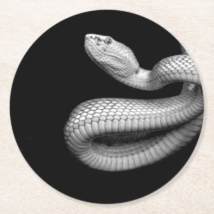 Porta-copo De Papel Redondo Cobra