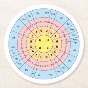Porta-copo De Papel Redondo Código Genético
