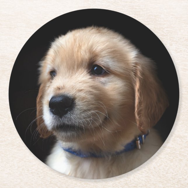Porta-copo De Papel Redondo Cutest Baby Animals | Golden Retriever Puppy (Frente)