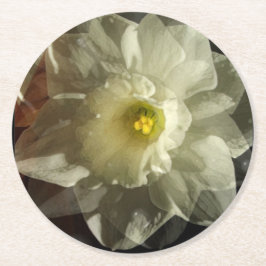 Porta-copo De Papel Redondo Daffidol Dreams