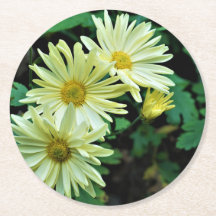 Daisy Delight Portas copos
