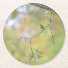 Porta-copo De Papel Redondo design nature