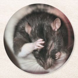 Porta-copo De Papel Redondo Dor de cabeça!