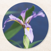 Embalagem Porta copos de Íris 6