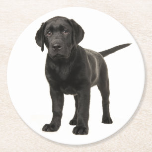 Porta-copo De Papel Redondo Filhote de Cachorro Labrador Retriever Preto Amor