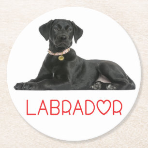 Porta-copo De Papel Redondo Filhote de Labrador Retriever Preto Cachorro Amor