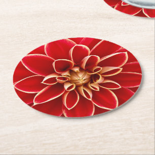 Porta-copo De Papel Redondo Flor de Dália Vermelha Brilhante