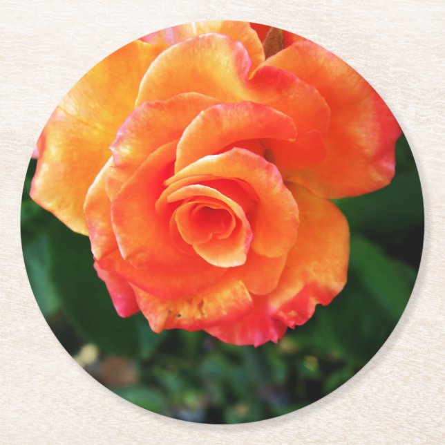 Porta-copo De Papel Redondo Flor de rosa laranja (Frente)