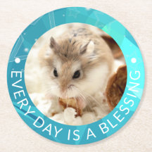 Hammyville - Hamster Cute Robo