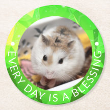 Hammyville - Hamster Cute Robo