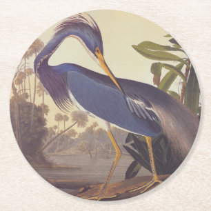 Porta-copo De Papel Redondo Herão da Louisiana ou Herão Tricolor de Audubon