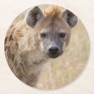 Porta-copo De Papel Redondo Hyena