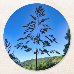 Porta-copo De Papel Redondo Johnson Grass