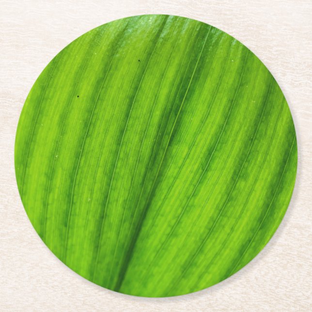 Porta-copo De Papel Redondo Lily do Vale (Frente)